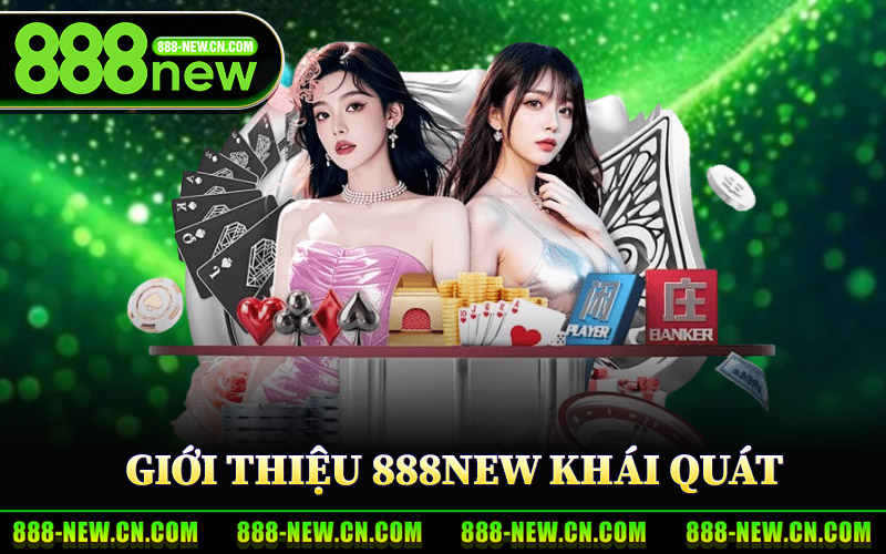 Giới Thiệu 888New Khái Quát Nền Tảng